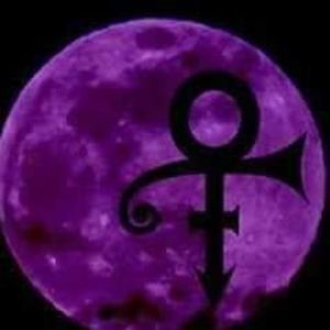 Meet your Posher, Darrell